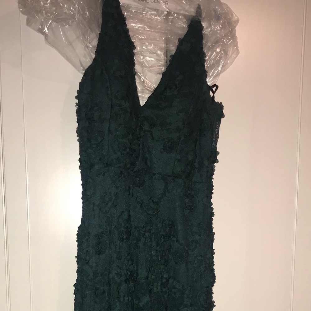 Hunter green lace gown, bottom is sheer.
